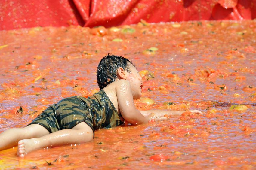 2011 토마토 축제 의 사진