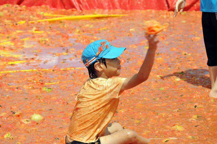 2011 토마토 축제 의 사진