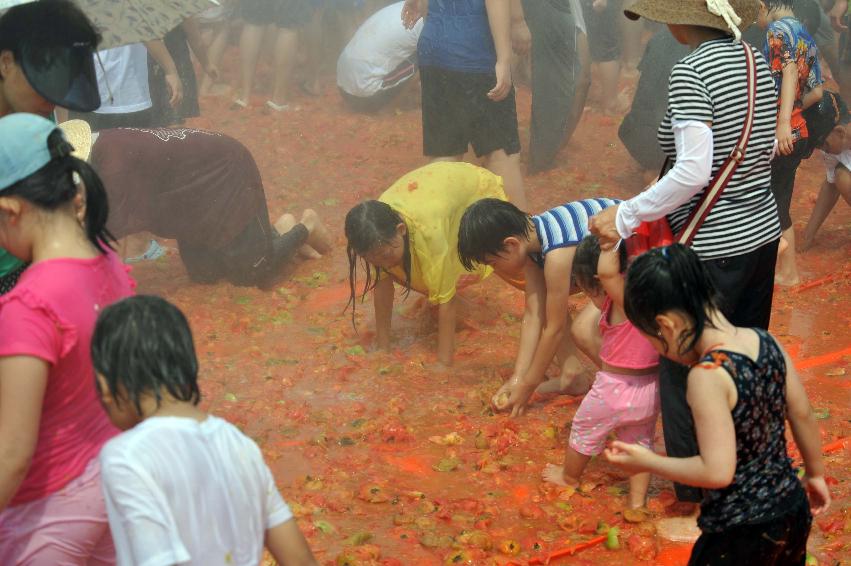 2011 황금반지 ?기(토마토 전쟁) 의 사진