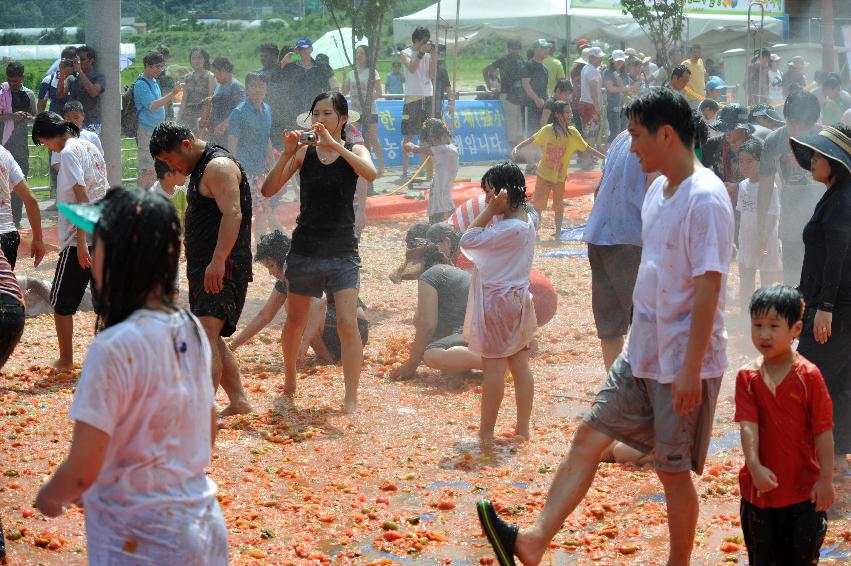 2011 황금반지 ?기(토마토 전쟁) 의 사진