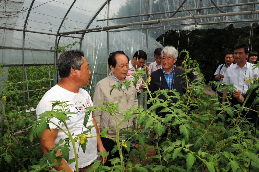 2011 화천 토마토축제 기본계획 설명회 의 사진