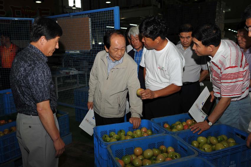 2011 화천 토마토축제 기본계획 설명회 의 사진