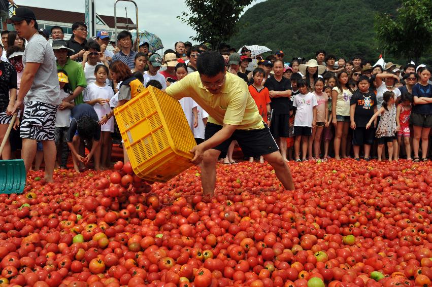 2011 화천미술인회 작품전시회 의 사진