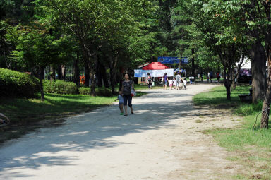 2011년도 쪽배축제 의 사진