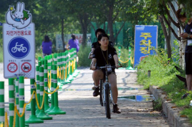 2011년도 쪽배축제 의 사진