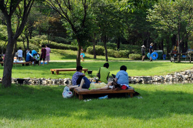 2011년도 쪽배축제 의 사진