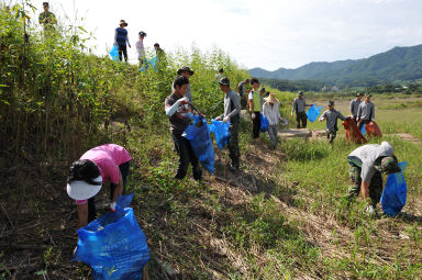 2011년도 파로호수변 환경정화 활동 의 사진