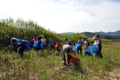 2011년도 파로호수변 환경정화 활동 의 사진