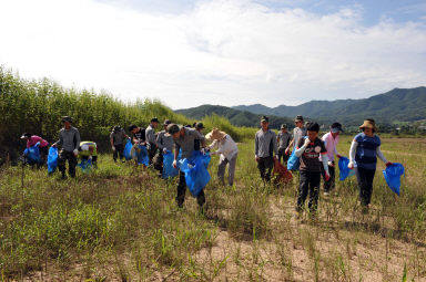 2011년도 파로호수변 환경정화 활동 의 사진