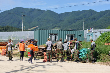 2011년도 파로호수변 환경정화 활동 의 사진