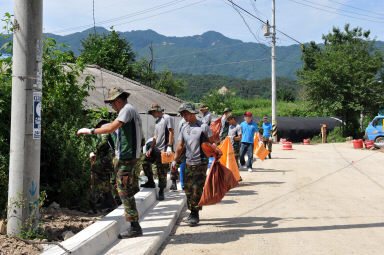 2011년도 파로호수변 환경정화 활동 의 사진