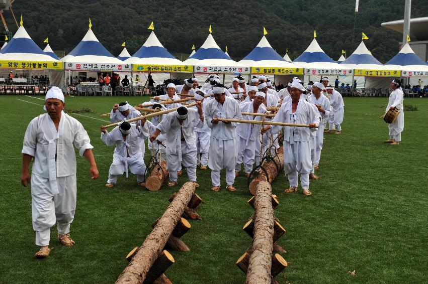 2011년도 제24회 강원민속예술축제 의 사진