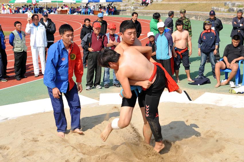 2011 제27회 용화축전 개회식 의 사진