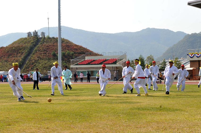 2011 제27회 용화축전 개회식 의 사진