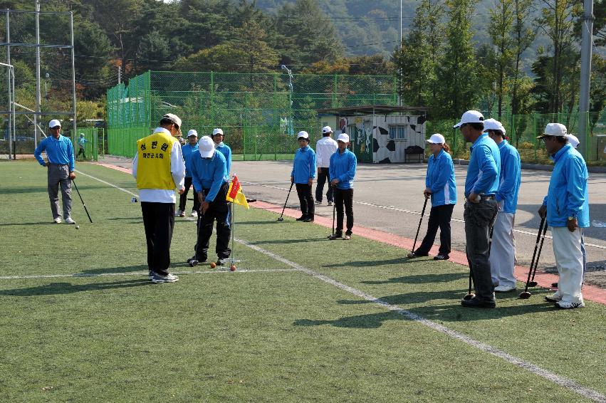 2011 제27회 용화축전 개회식 의 사진