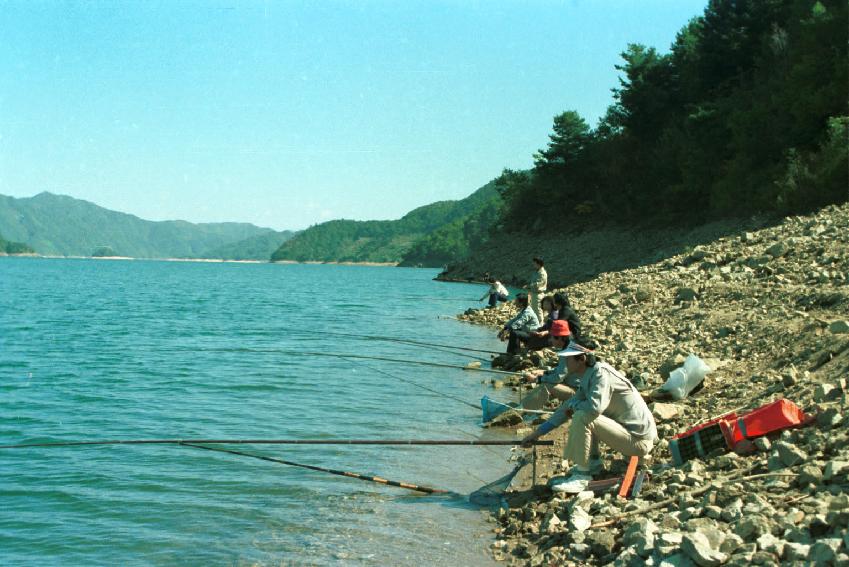 파로호 낚시터 사진