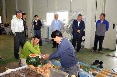 2012년 화악산 토마토 풍년기원제 의 사진