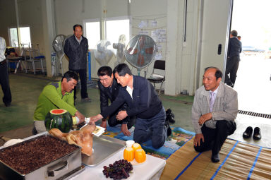 2012년 화악산 토마토 풍년기원제 의 사진