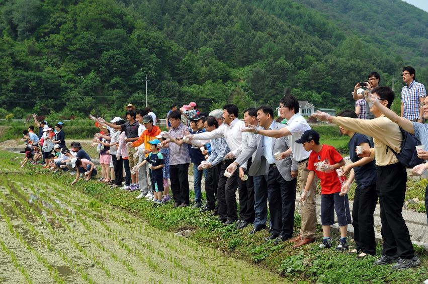 2012년도 삼성의 날 행사 의 사진