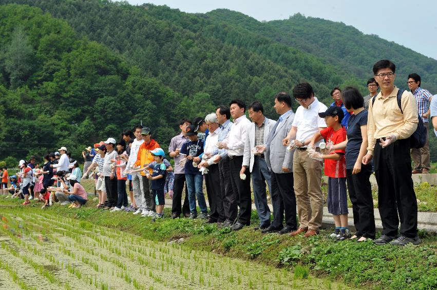 2012년도 삼성의 날 행사 의 사진