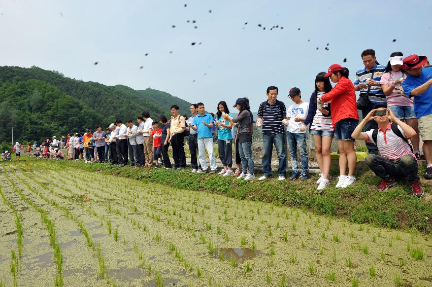 2012년도 삼성의 날 행사 의 사진