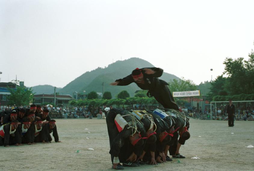 특공무술 의 사진