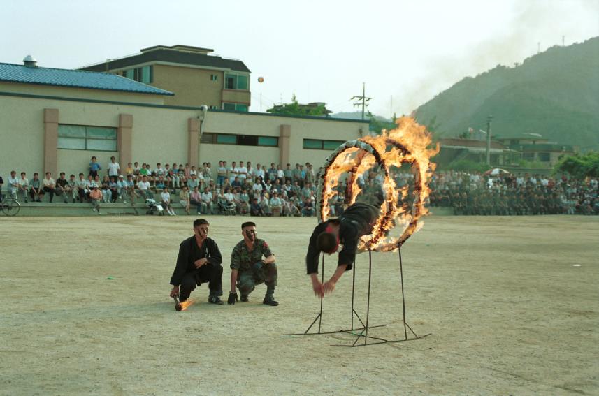 특공무술 의 사진