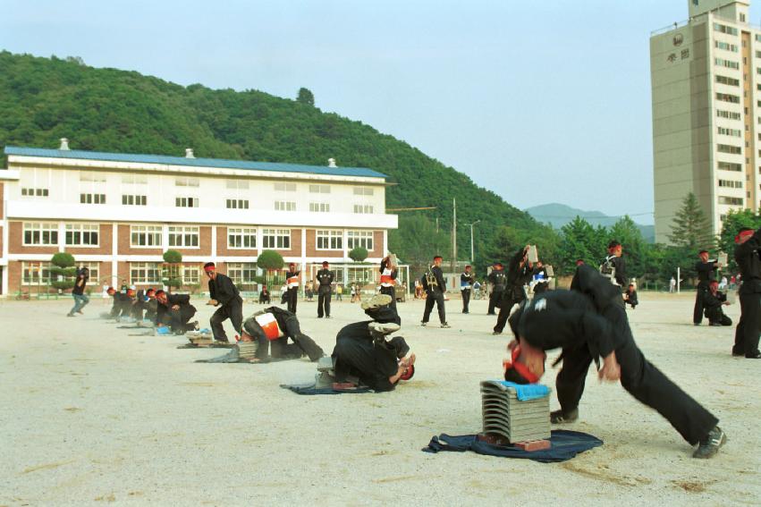 특공무술 의 사진