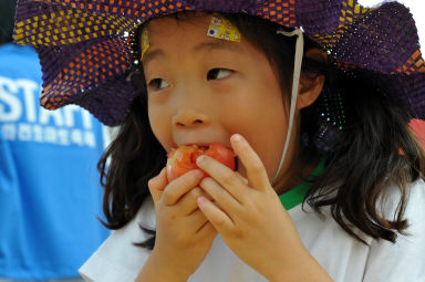 2012년도 토마토축제 의 사진