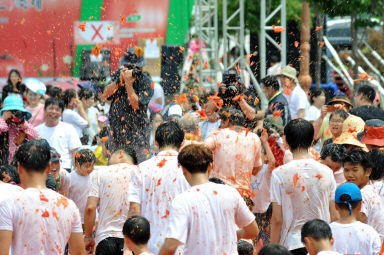 2012년도 토마토축제 의 사진