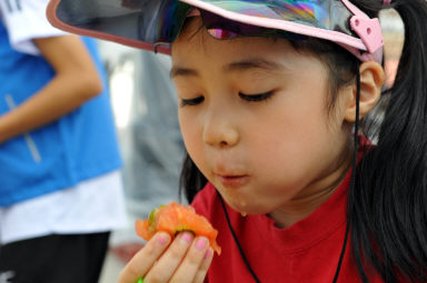 2012년도 토마토축제 의 사진