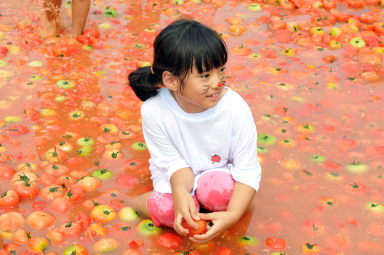 2012년도 토마토축제 의 사진