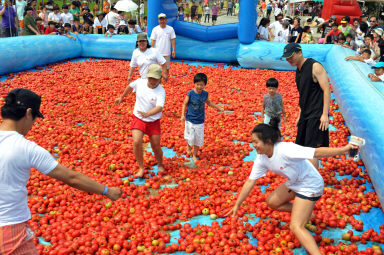 2012년도 토마토축제 의 사진