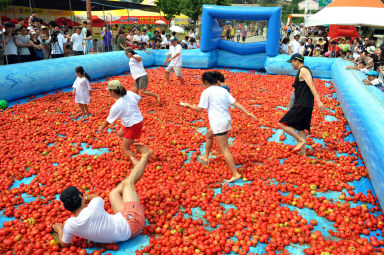 2012년도 토마토축제 의 사진