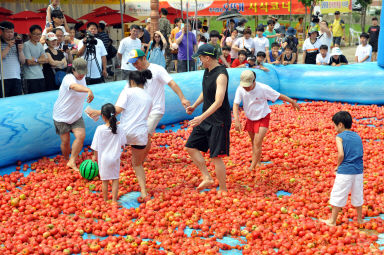 2012년도 토마토축제 의 사진