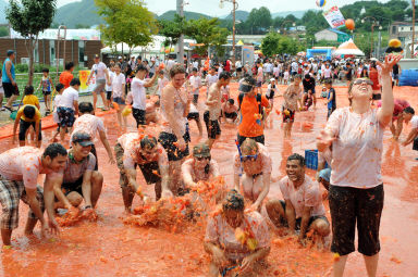 2012년도 토마토축제 의 사진