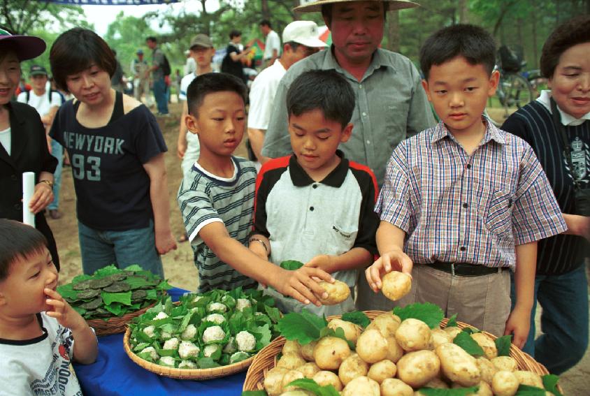 주먹밥 의 사진