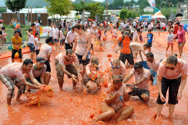 2012년도 토마토축제 의 사진