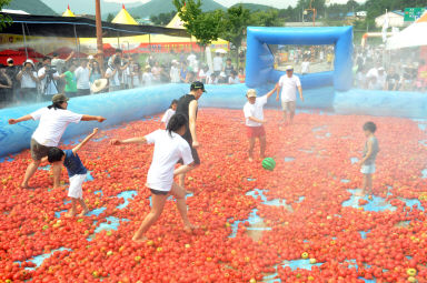 2012년도 토마토축제 의 사진