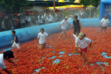 2012년도 토마토축제 의 사진