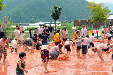 2012년도 토마토축제 의 사진