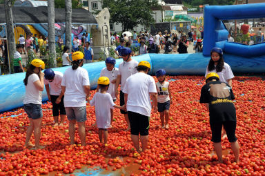 2012년도 토마토축제 의 사진