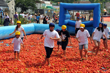 2012년도 토마토축제 의 사진