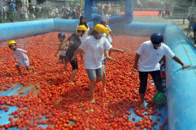 2012년도 토마토축제 의 사진