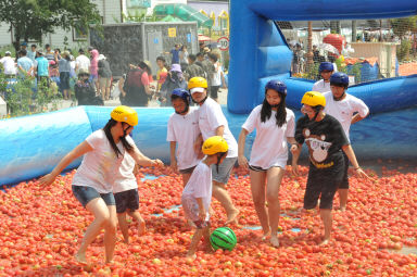 2012년도 토마토축제 의 사진