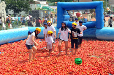 2012년도 토마토축제 의 사진