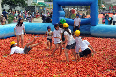 2012년도 토마토축제 의 사진