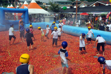 2012년도 토마토축제 의 사진