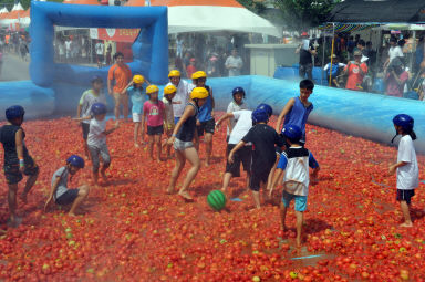 2012년도 토마토축제 의 사진