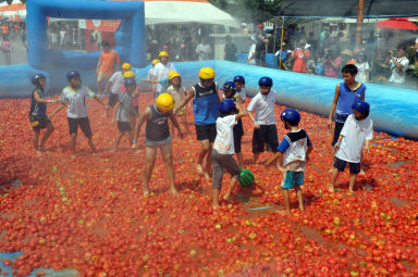 2012년도 토마토축제 의 사진